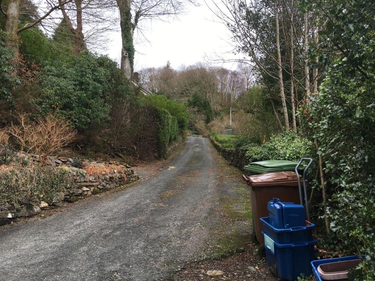 فيلا Snowdonia Mawddach Escape دولغيلوو المظهر الخارجي الصورة