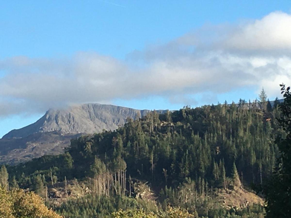 فيلا Snowdonia Mawddach Escape دولغيلوو المظهر الخارجي الصورة