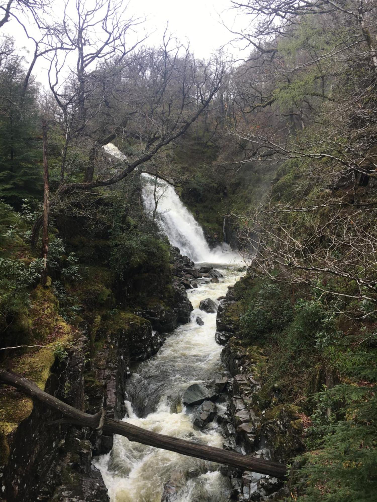 فيلا Snowdonia Mawddach Escape دولغيلوو المظهر الخارجي الصورة