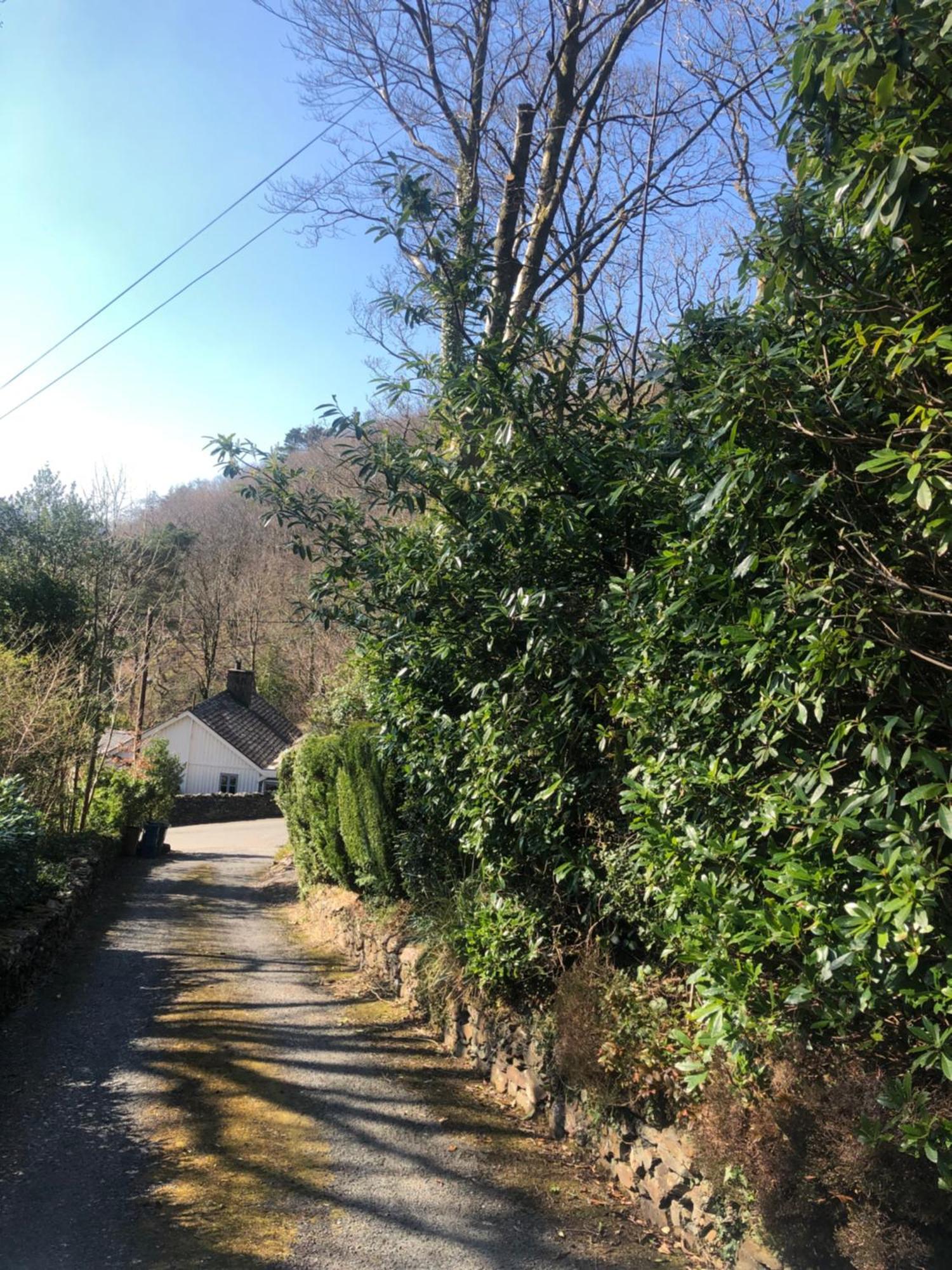 فيلا Snowdonia Mawddach Escape دولغيلوو المظهر الخارجي الصورة